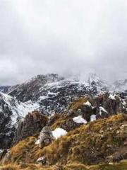 Mr. Shen, overdue an