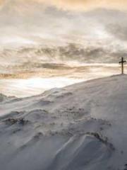 The wife wishes to b The wife wishes to b